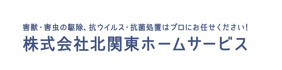 北関東ロゴ